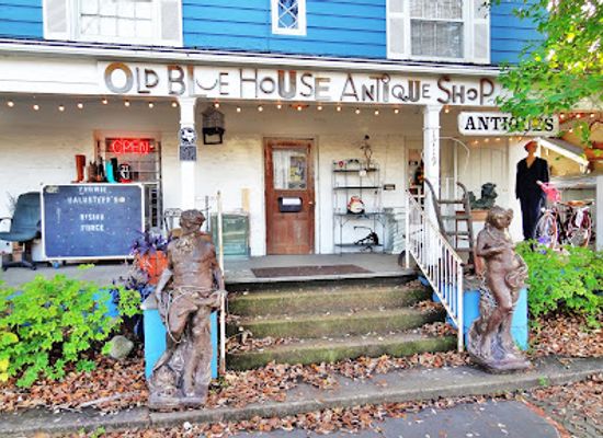 texas/houston/montrose/shop/old-blue-house-antique-shop