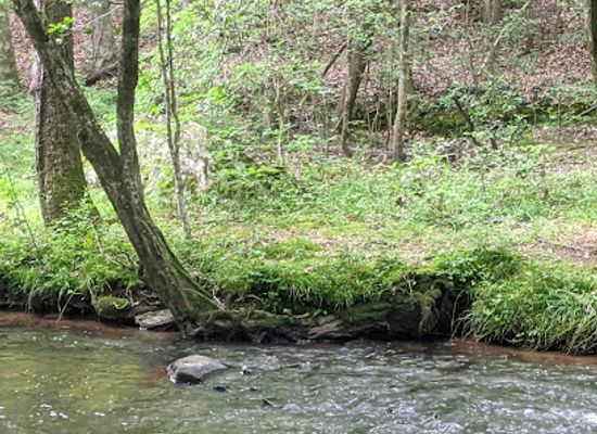 north-carolina/uwharrie-mountains/shop/jumping-off-rock-trailhead