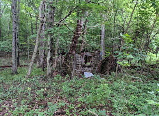 indiana/the-dunes/shop/save-the-dunes