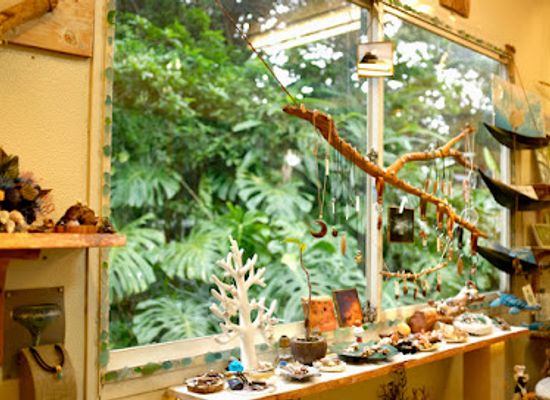 japan/yakushima/shop/honu-yakushima