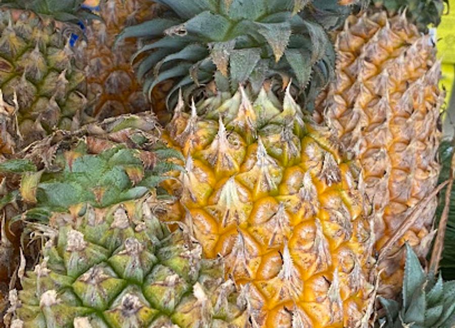 Explore local flavors at Niru Dhigurah, the charming grocery store in Dhigurah, offering a taste of Maldivian life and culture.