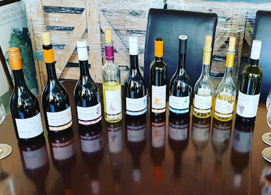 Explore the enchanting Basilicus Borkultúra Központ, a wine cellar in Tarcal offering exquisite local wines and an immersive cultural experience.