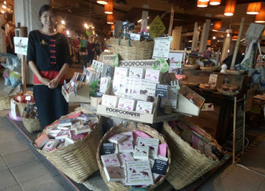 Explore the Elephant POOPOOPAPER Store in Chiang Mai for unique, eco-friendly souvenirs made from recycled elephant dung paper.