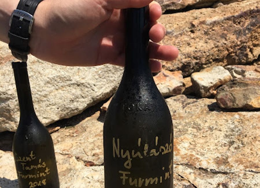 Explore Balassa Wine Vineyard in Tokaj, Hungary - a serene escape for wine lovers and a celebration of rich heritage and exquisite flavors.