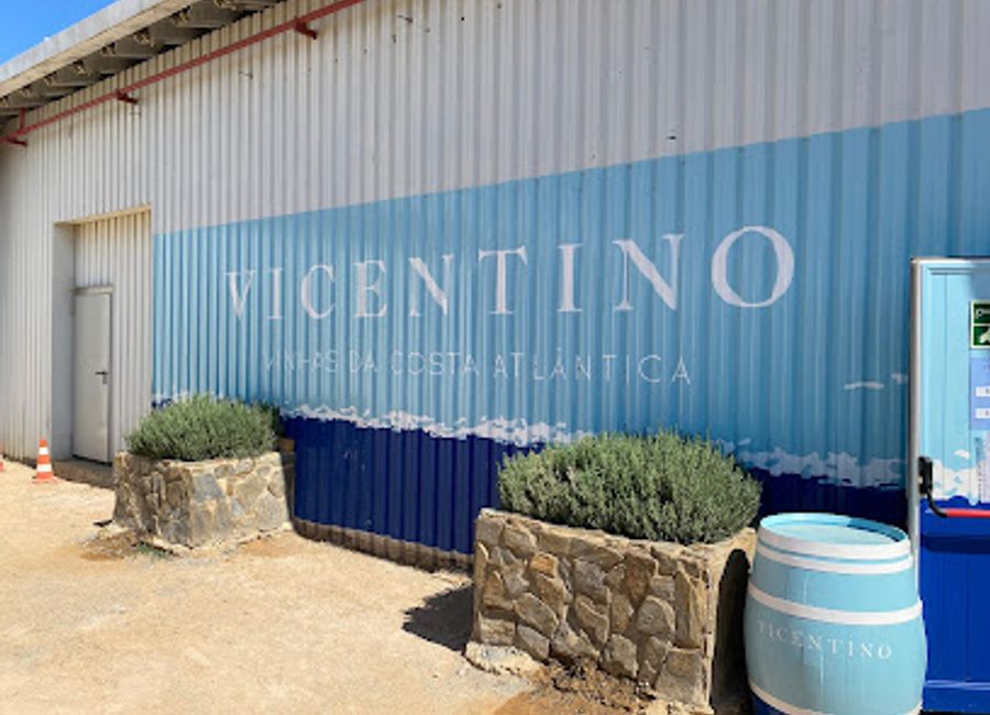 Explore the rich flavors of Alentejo at Vicentino Wine Shop, where exquisite local wines await your discovery.