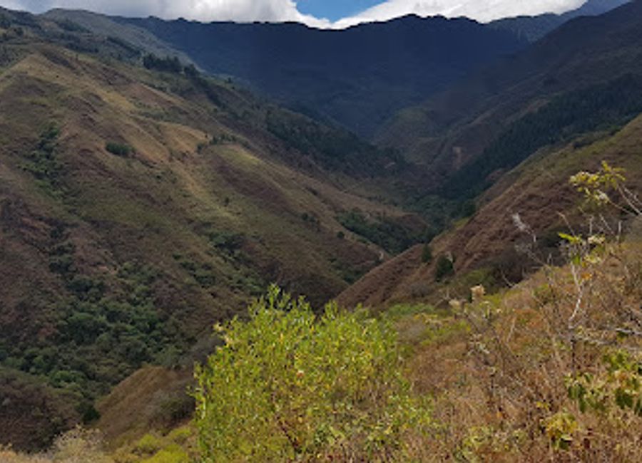Experience the serene beauty of Cascada El Palto, a captivating waterfall nestled in the lush landscapes of Vilcabamba, Ecuador.