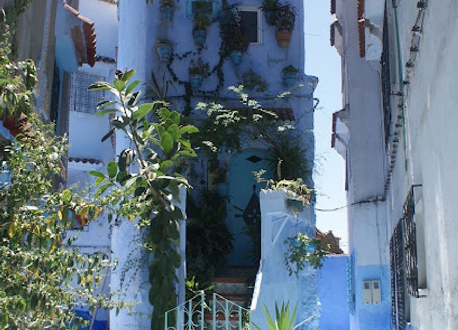 Explore the heart of Moroccan craftsmanship at Chaouen Gifts, where every item is a unique reflection of Chefchaouen's rich culture and artistry.