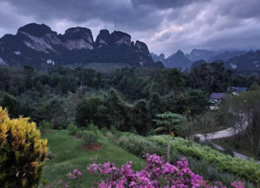 Explore the healing powers of nature at Boon Ya Garden, your go-to destination for herbal remedies in Khlong Sok, Surat Thani.
