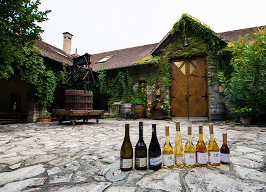 Explore Dobogó Pincészet, a scenic winery in Tokaj offering exquisite wines, vineyard tours, and a taste of Hungary's rich winemaking tradition.