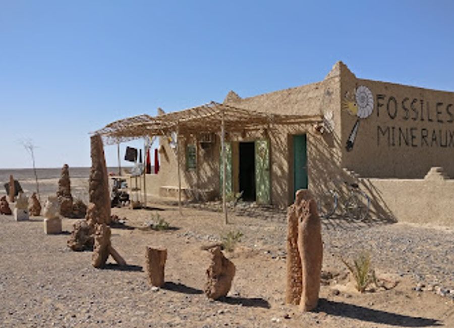 Discover the captivating world of fossils at Fossiles Mineraux Merzouga, where ancient history meets modern shopping.