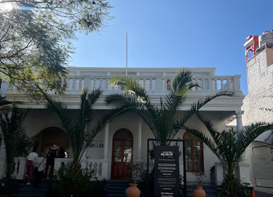 Explore the vibrant world of alpaca textiles at Mundo Alpaca, a cultural hub in Arequipa that blends shopping with rich Peruvian heritage.