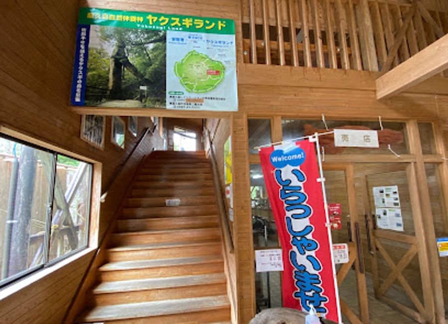 Explore Moriizumi in Yakushima: A charming souvenir store filled with local crafts, traditional gifts, and beautiful keepsakes reflecting Japan's vibrant culture.