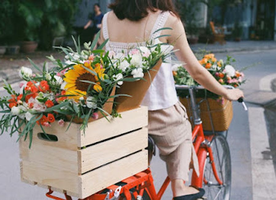 Explore the vibrant floral artistry at Shop Hoa Tươi Phong Nha, where every bloom tells a story in the heart of Quang Binh's natural paradise.