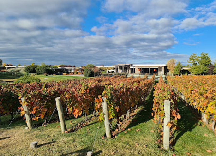 Explore the heart of Mendoza's wine country at The Vines of Mendoza, where exceptional wines and culinary delights await in a stunning vineyard setting.