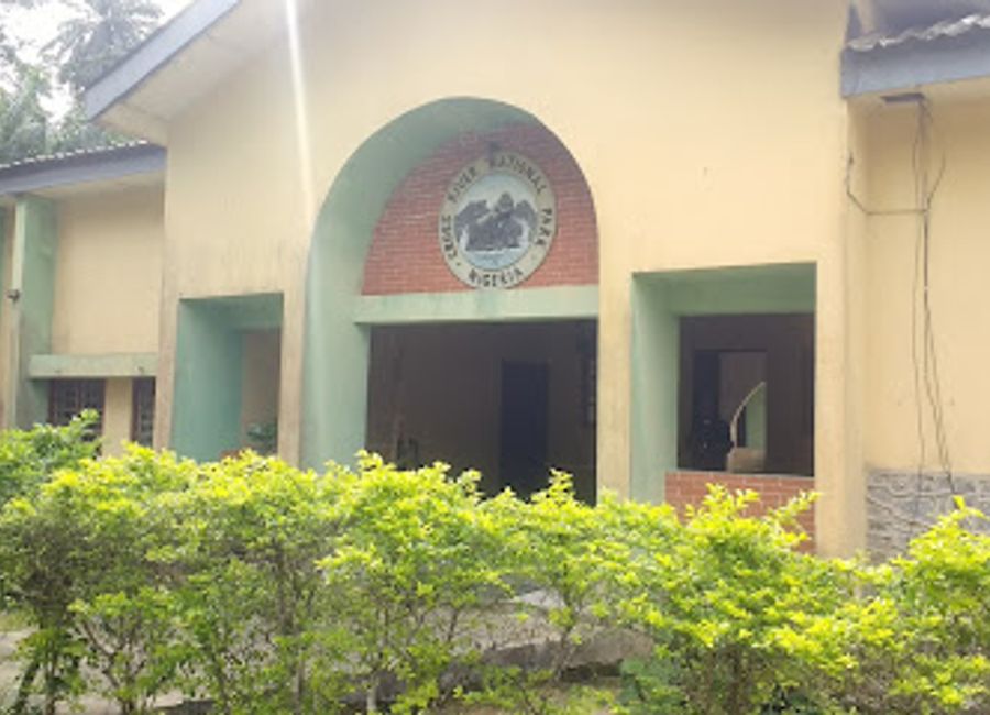 Explore Cross River National Park, Nigeria's lush rainforest, home to diverse wildlife and breathtaking landscapes, perfect for adventure seekers and nature lovers.