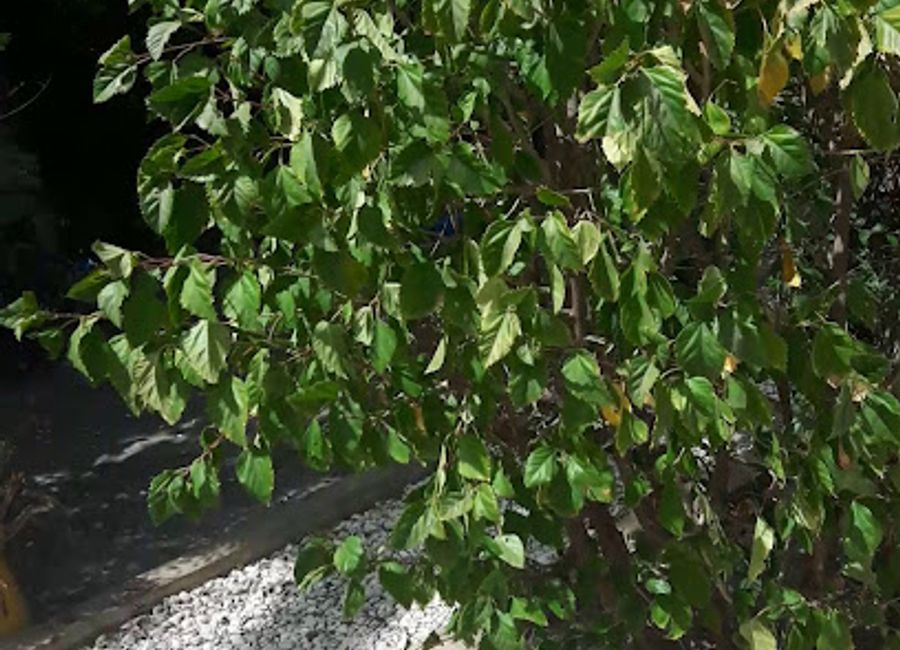 Discover unique women’s fashion and local craftsmanship at La Boutique Des Femmes, Toubakouta’s premier shopping destination.