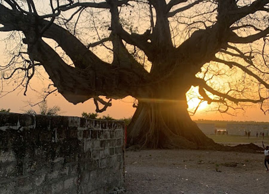 Explore the charm of Chez Barth Simpson, a vibrant gift shop in Missirah showcasing unique Senegalese crafts and souvenirs.