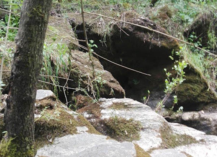Experience the authentic flavors of Portugal at Sabores Apurados, Lda., a charming farm shop in Ponte de Sor offering artisanal local delights.