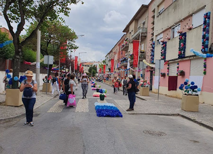 Discover the vibrant shopping experience at Centro Comercial Templários, where local charm meets modern retail in the heart of Tomar.