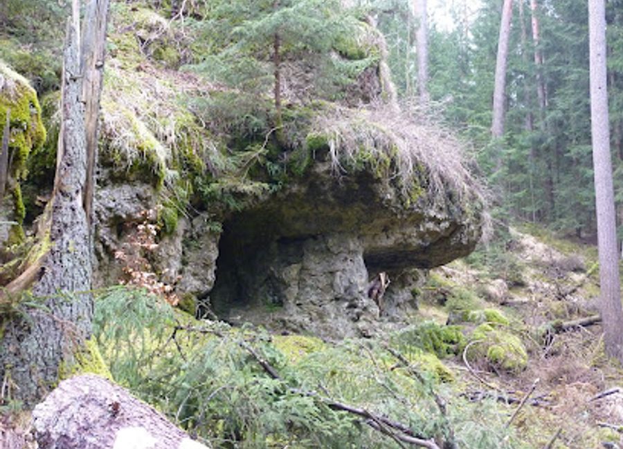 Explore the stunning landscapes of Naturpark Fränkische Schweiz - Veldensteiner Forst, a scenic park perfect for hiking and relaxation in Bavaria, Germany.