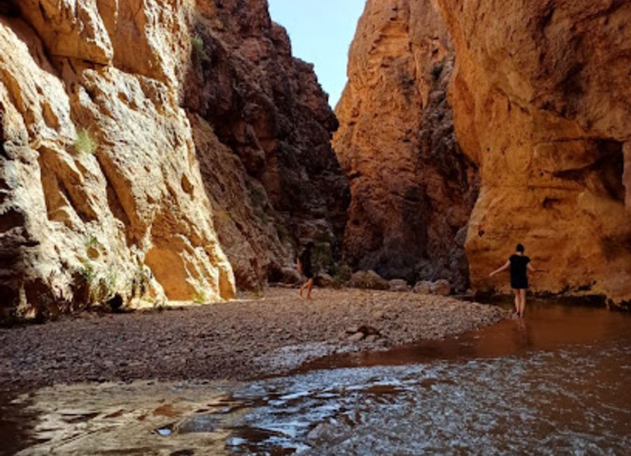 Discover the breathtaking landscapes and rich cultural heritage of Dades Valley through exciting activities and guided tours in Morocco's stunning terrain.