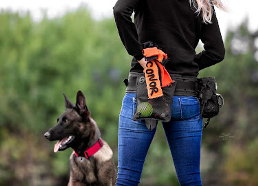 Discover the ultimate pet shopping experience at Conor's Adventure in Divača, Slovenia, where quality meets passion for pets!