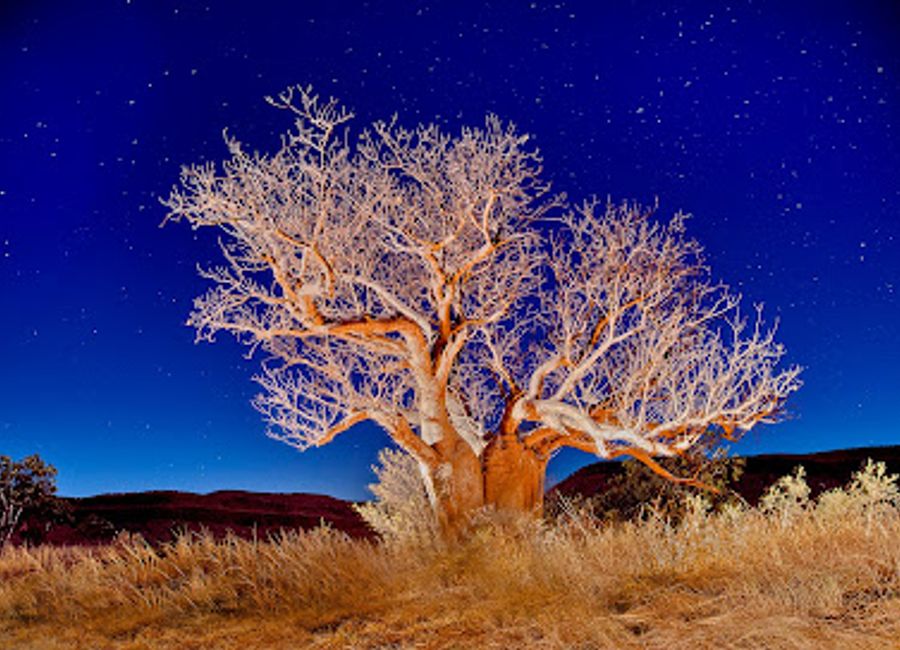 Immerse yourself in local art at Penney's Prints, where stunning photography meets unique boutique shopping in the heart of Kununurra.