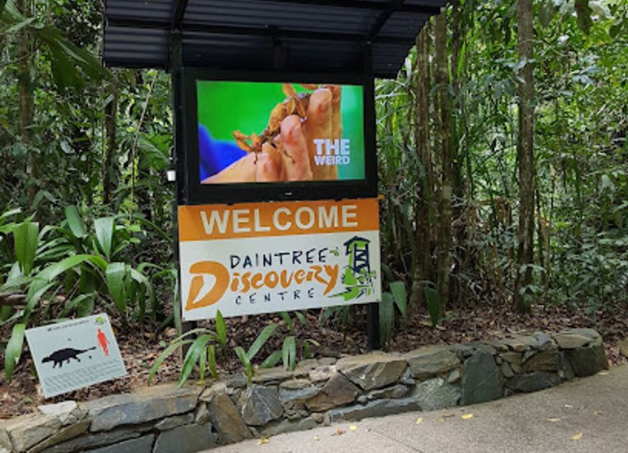 Experience the tranquil charm of Daintree Tea Company, where exquisite local teas meet the breathtaking beauty of the Daintree Rainforest.