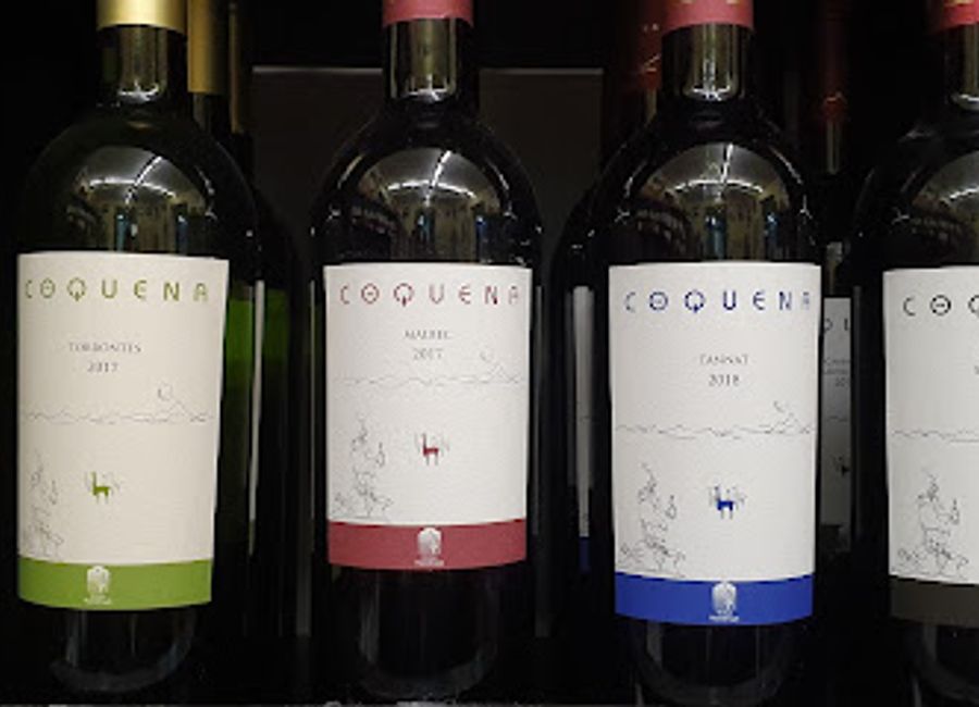 Discover the essence of Mendoza at House Wine, where exquisite local wines and gourmet delicacies await every visitor.