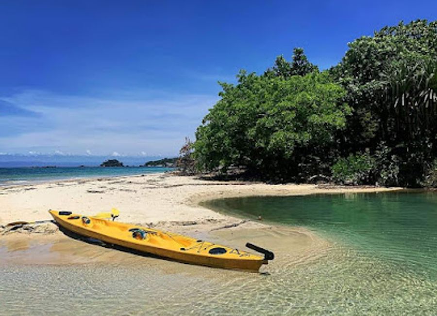 Explore Masoala National Park: A stunning blend of pristine rainforests, vibrant marine life, and unique wildlife in Madagascar's largest national park.