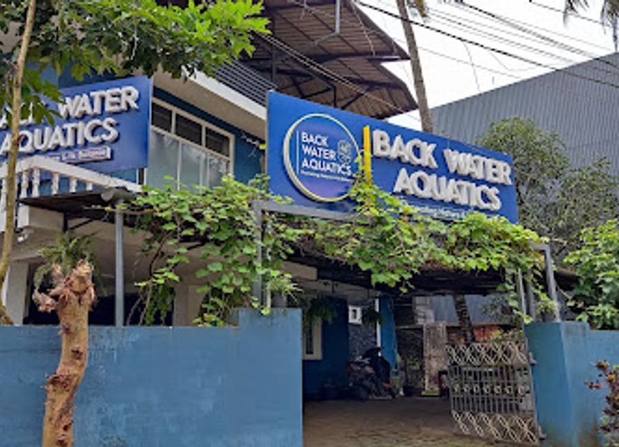 Explore exotic fish and stunning aquascapes at Back Water Aquatics Kochi - your ultimate aquarium shop and pet store experience.