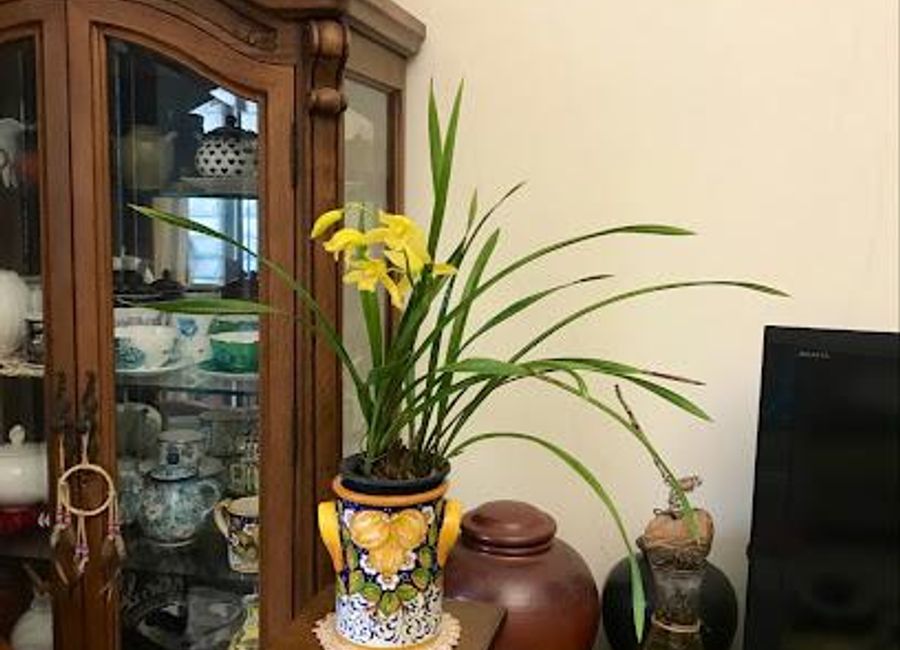 Explore exquisite Tuscan ceramics at Ceramiche D'Arte Parrini, where tradition meets artistry in the heart of Campi Bisenzio.