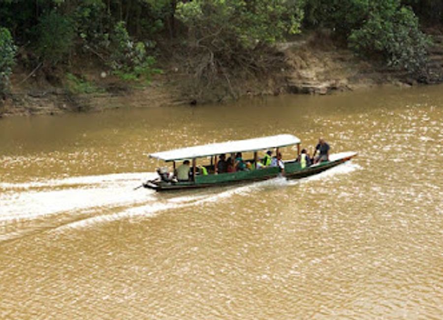 Discover the Amazon's natural beauty and cultural richness with Tour Pacaya Samiria, your gateway to unforgettable adventures in the Pacaya Samiria National Reserve.