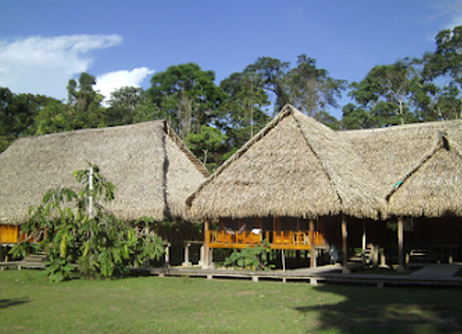 Discover the pristine beauty of Ecuador’s Amazon at Aguas Negras River Lodge, where adventure meets tranquility in a sustainable retreat.