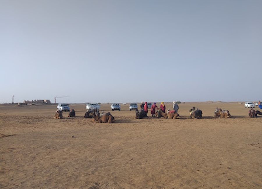 Explore the unique Driss Fossils and Minerals Shop in Hassilabied for authentic fossils and stunning minerals that capture Morocco's natural beauty.