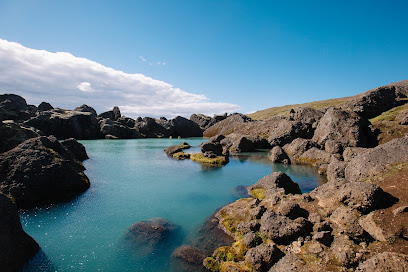 The 10 best restaurants near Stórurð (2026 ranked)
