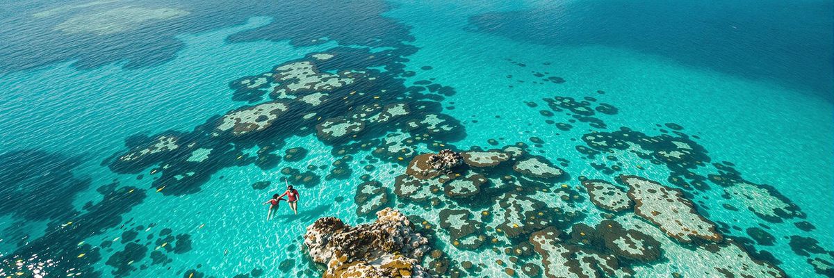 Editorial story image