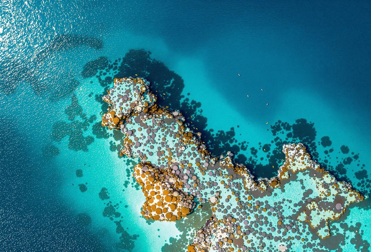 An aerial photograph capturing the stunning beauty and intricate details of the Great Barrier Reef